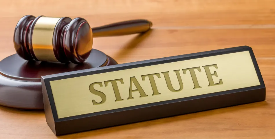 Limitations on Statute